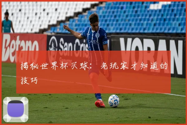 揭秘世界杯买球：老玩家才知道的技巧
